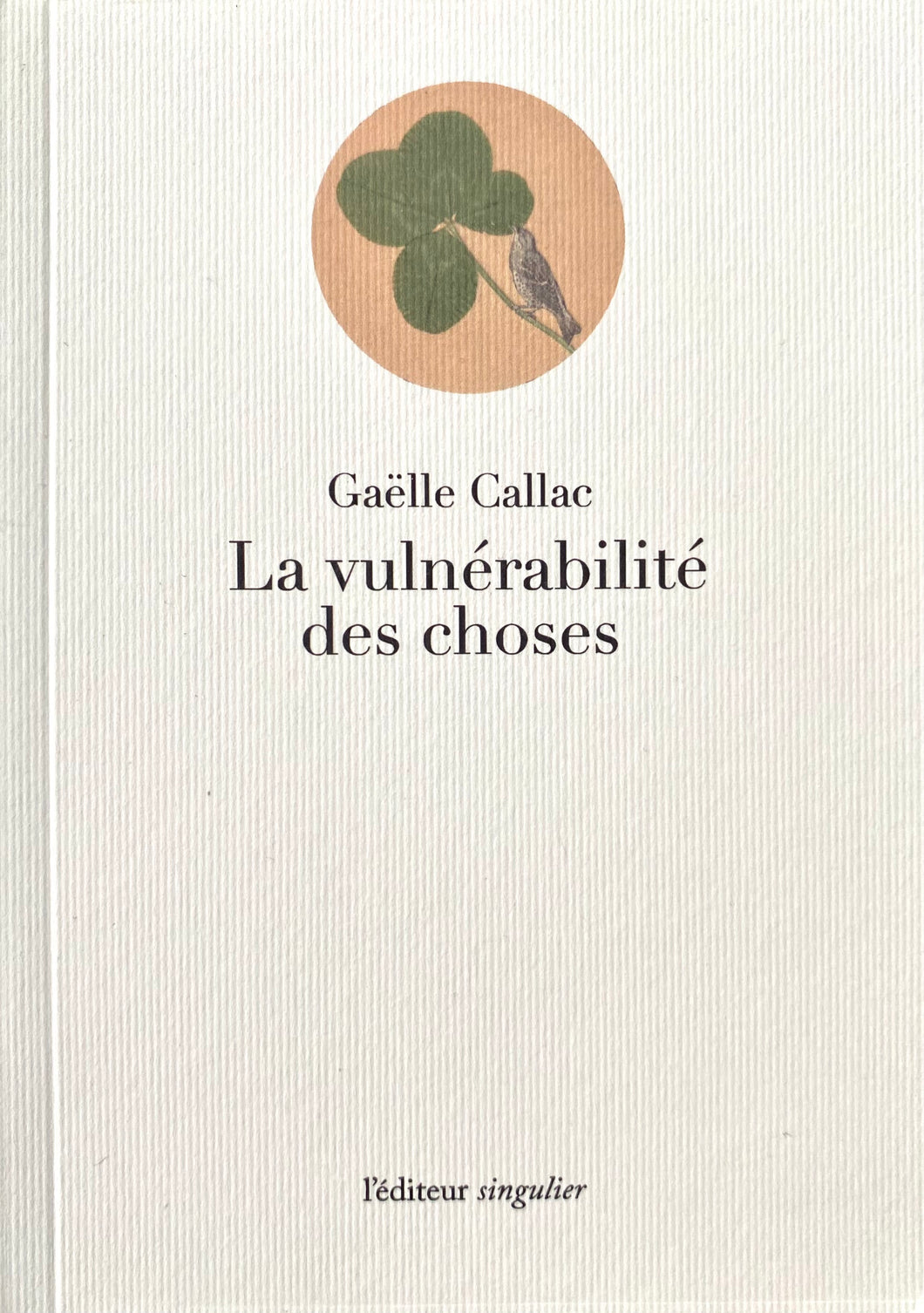 Gaëlle Callac • La vulnérabilité des choses (tirage de tête)